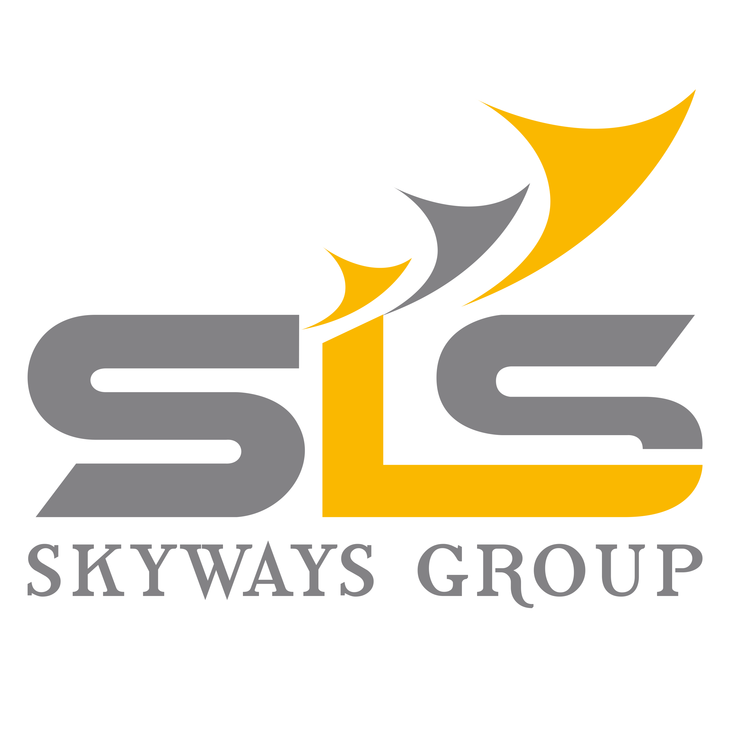 Skyways_Group Logo (2)